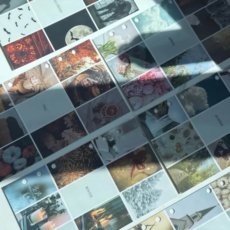 A6 Seasons dashboard A6 Seasons dashboard