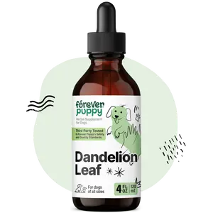 Dandelion Leaf Drops for Dogs - Liquid Kidney Health Supplement for Large, Medium & Small Dogs - Kidney Cleanse Detox Drops w/Dandelion Leaves Extract - 4 oz