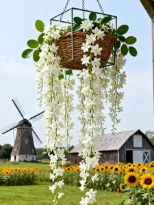 150 PCS Jasmine Seeds Bridal Veil High Germination Rate Nodding Clerodendron Easy to Grow Long Lasting Aroma for Home Garden Fragrant Blooms Rare Cascading Jasmine Perfect for Balconies & Indoor Pots