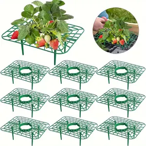 10 square strawberry brackets - strawberry planting rack - strawberry plant support rack to keep strawberries clean