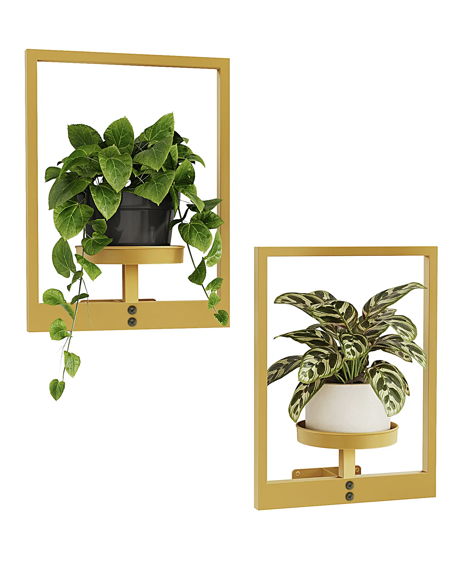Bamworld Gold Plant Stand Indoor, Plant Hanger Wall Planters for Indoor Plants Window Plant Shelves Plant Holder Wall Decor, Room Decor (Patent Design), Hanging Plant Hanger, Metal Plant Stand