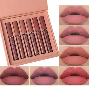 Velvet Liquid Lipstick Set Long Lasting Waterproof Non-Stick Matte Lip Tint