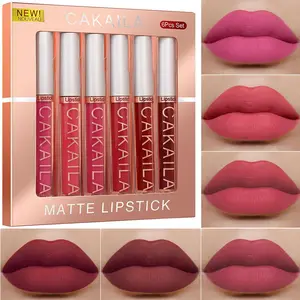 6Pcs Matte Liquid Lipstick Makeup Set,Pink Nude Burgundy Red Highly Pigmented Color Plumping Lip Gloss Long Lasting Waterproof Lip Stain Lip Gloss for Women Girls labiales matte springtok