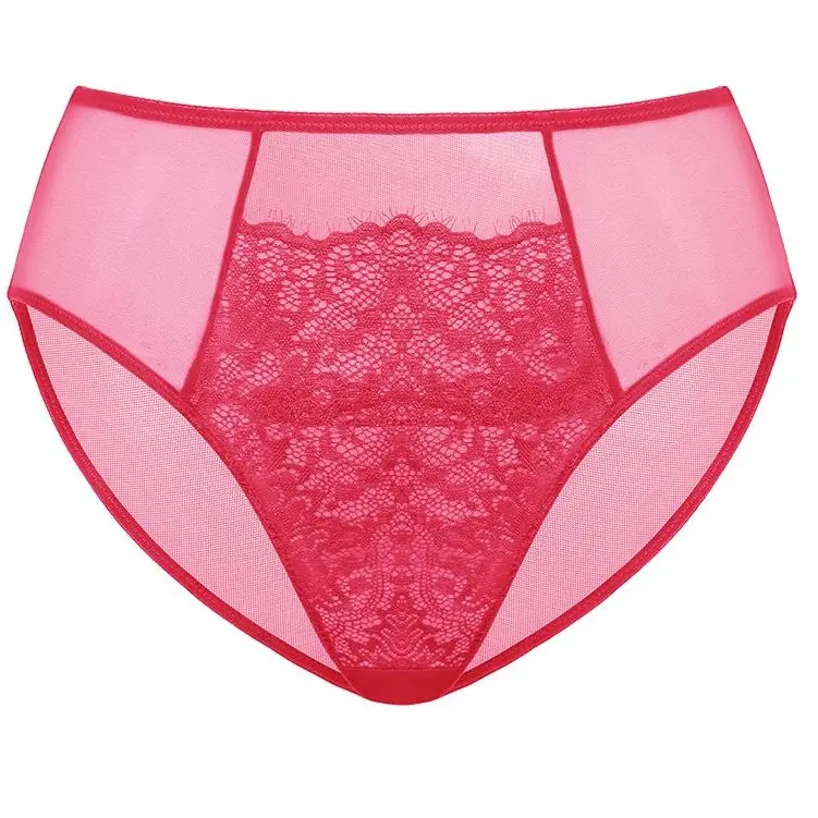 HSIA Crimson Passion Holiday Colors Mesh Lace Panty Women Underwear Mid-Rise Bikini High-Rise Brief