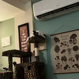 review image 0