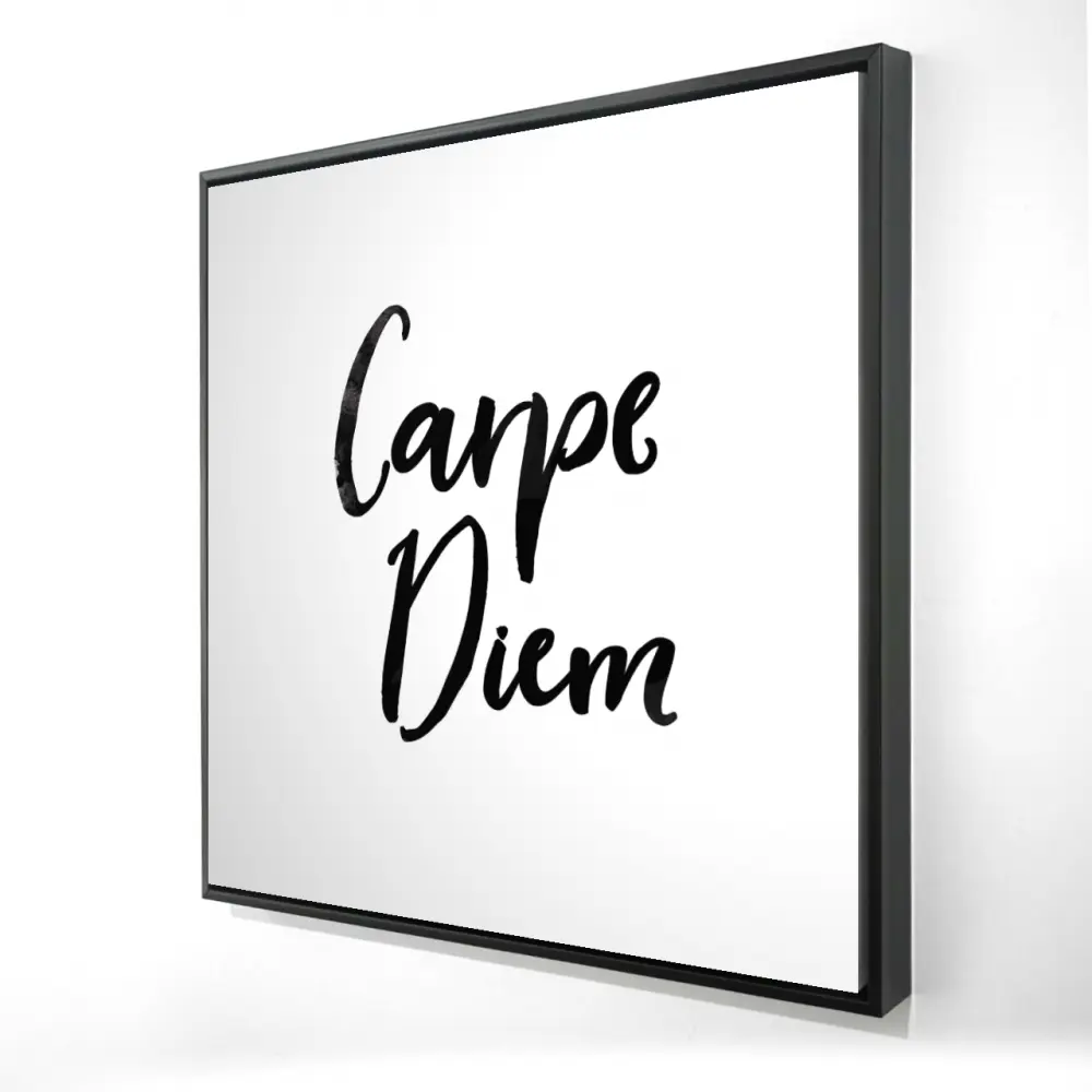 212 MAIN Minimalist Modern "Carpe Diem" Quote Framed Canvas Artwork - 24x24 in. Wall Print, Motivational Home Decor, Bedroom-Office Decoration