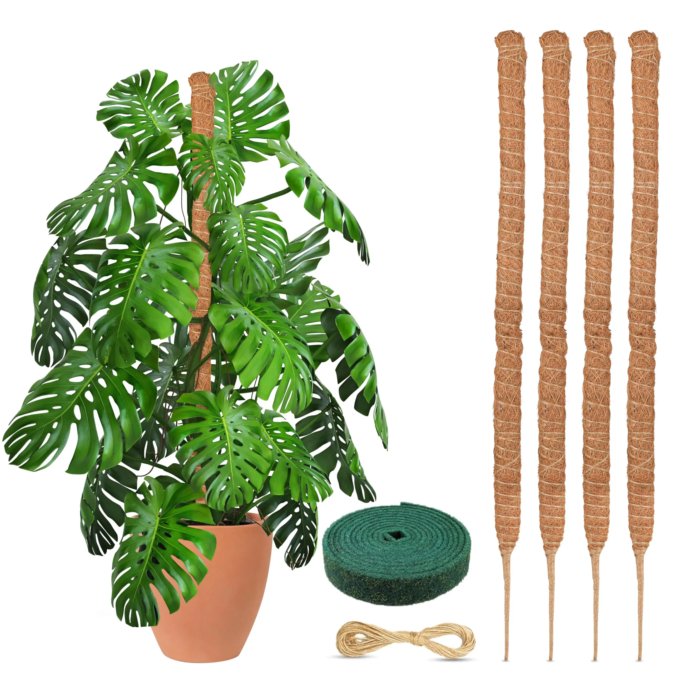 EcoNour 4-Pack 28-in Tube-Shape Coconut Fiber Moss Pole Plant Support Stakes - Flexible, Bendable Design for Indoor Home Decor Displays, Moisture Retention, Promotes Healthier Plants
