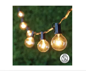 Harbor Breeze 13-ft Plug Black Indoor/Outdoor String Light with 10 White LED Globe Bulbs