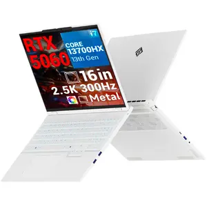 FIREBAT RTX 5060 i7 Gaming Laptop , Core i7-13700HX (Up to 5.0GHz), 16'' WQXGA 300Hz Display, 16GB DDR5 & 1TB SSD, RGB Keyboard, USB C, HDMI2.1, Mini DP2.1, WiFi6E & BT5.3, High Performance Desktop PC for AI Work, Gameplay