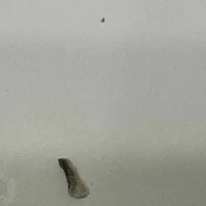 review image 2