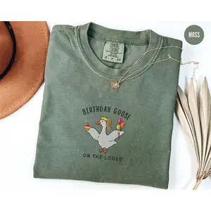 Embroidered Silly Goose Birthday Shirt, Funny 30th Birthday Gift for Her, Meme TShirt, Goose Lover Tshirt, Birthday Party Outfit