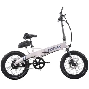 F1 V2 Folding Electric Bike