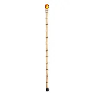 Men's Jurassic Park John Hammond Cane