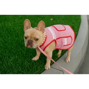 🇲🇽 Dogñitas – The Abuelita Mandil for Your Pup 🐶