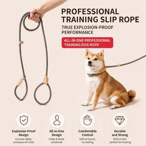 Dog Leash Anti-Bite Chain for Large and Medium Dogs, Escape-Proof Leash, Anti-Burst Pull Chain