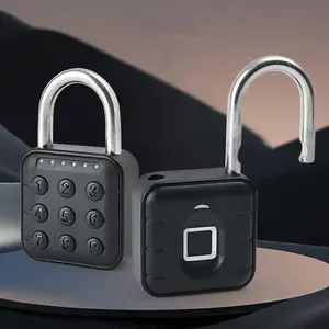 Electronic Password Lock, 1 Count Waterproof & Rustproof Fingerprint Padlock, Zinc Alloy Lock for Storage Cabinet Luggage Door