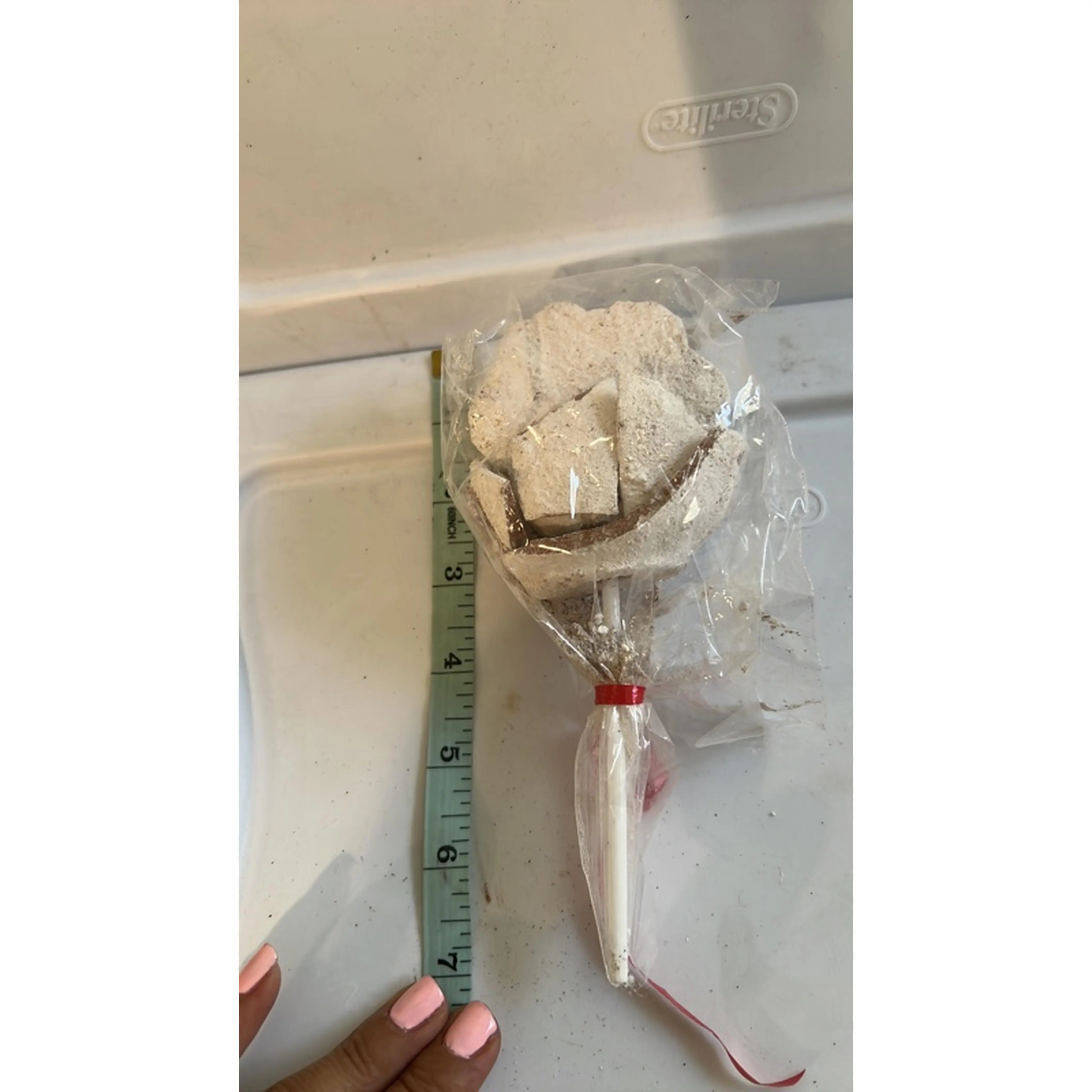 La Sobrina Jicaleta Clay Artisan Creation in a Flower Form Handcrafted Decorative Piece