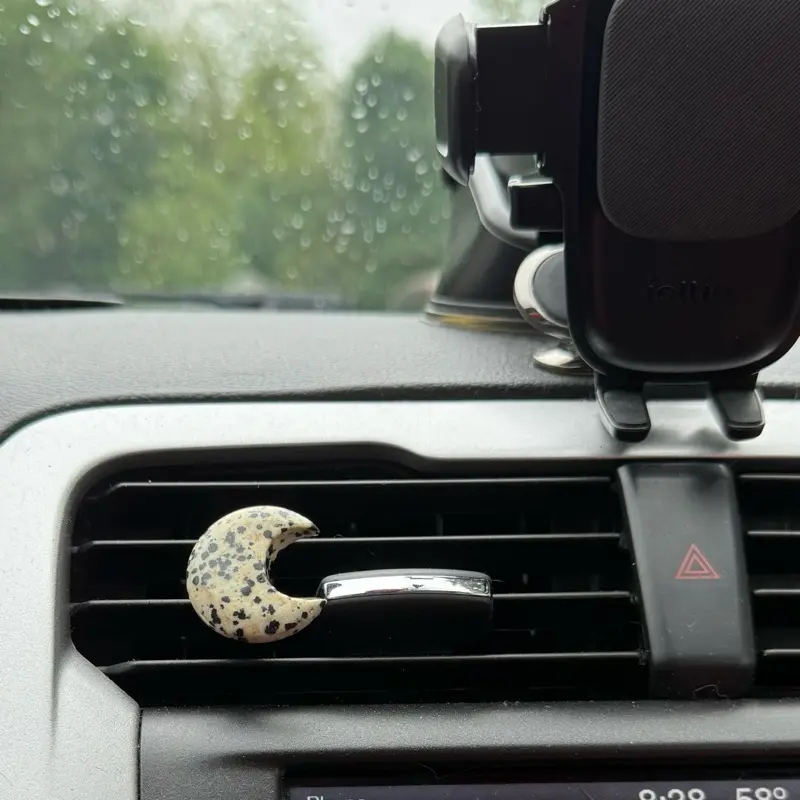 Dalmatian jasper car vent clip