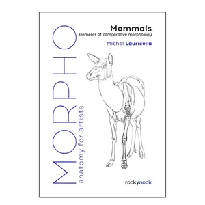 Morpho: Mammals: Elements of Comparative Morphology (Morpho: Anatomy for Artists, 9) Paperback – April 4, 2023