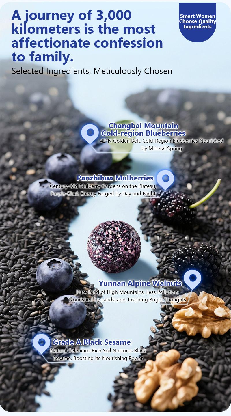 Blueberry Sesame Balls