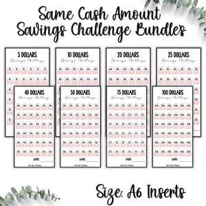 Laminated Same Cash Amount Savings  Challenge inserts