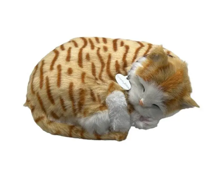 Perfect Petzzz Orange Tabby