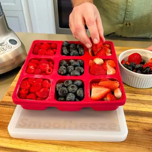 Smoothie Prep Silicone Freezer Tray