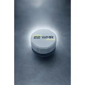 Mini 22 WMR Ammo Container