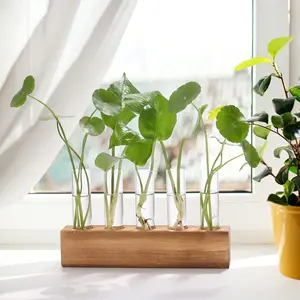 Water Propagation Rack, Glass Plant Culture Bottle with Wooden Base, Desktop Vase for Cuttings, Hydroponic Planters, Unique Gardening Gift for Plant Lovers