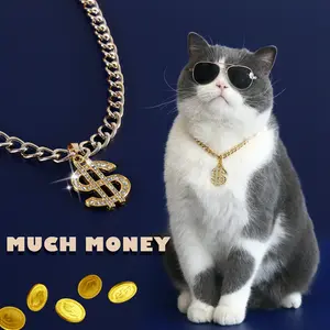 Luxury Gold Dollar Metal Chain Pet Collar - Sporty Wristbands Compatible Pet Accessories for Dogs and Cats (Sports & Outdoor Supplies), Sporty Sports Wristbands