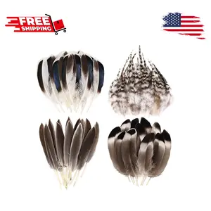 120pcs Natural Feathers Small 4 Styles