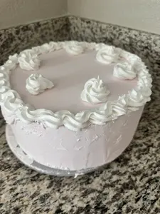 Artificial cake Cake