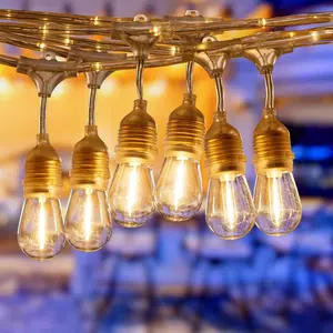 LEONLITE LED Outdoor Decoration String Lights 48FT (Copper) - 24 E26 Bulb Sockets