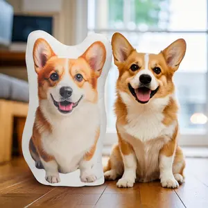 Custom Pet Pillow,Personalized 3D pet pillow from photo，Pet lover gift，Personalize Dog Gift Cat Gift Valentine Day Gift，Pet Memorial Gift