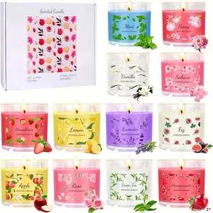 12-Piece Aroma Scented Candles Set - 2.5oz Round Wax Core with Unique Scents Including Vanilla, Lavender - Mini Gifts for Coworkers - Home Decor for Autumn, Christmas, Vanilla Lavender Candle