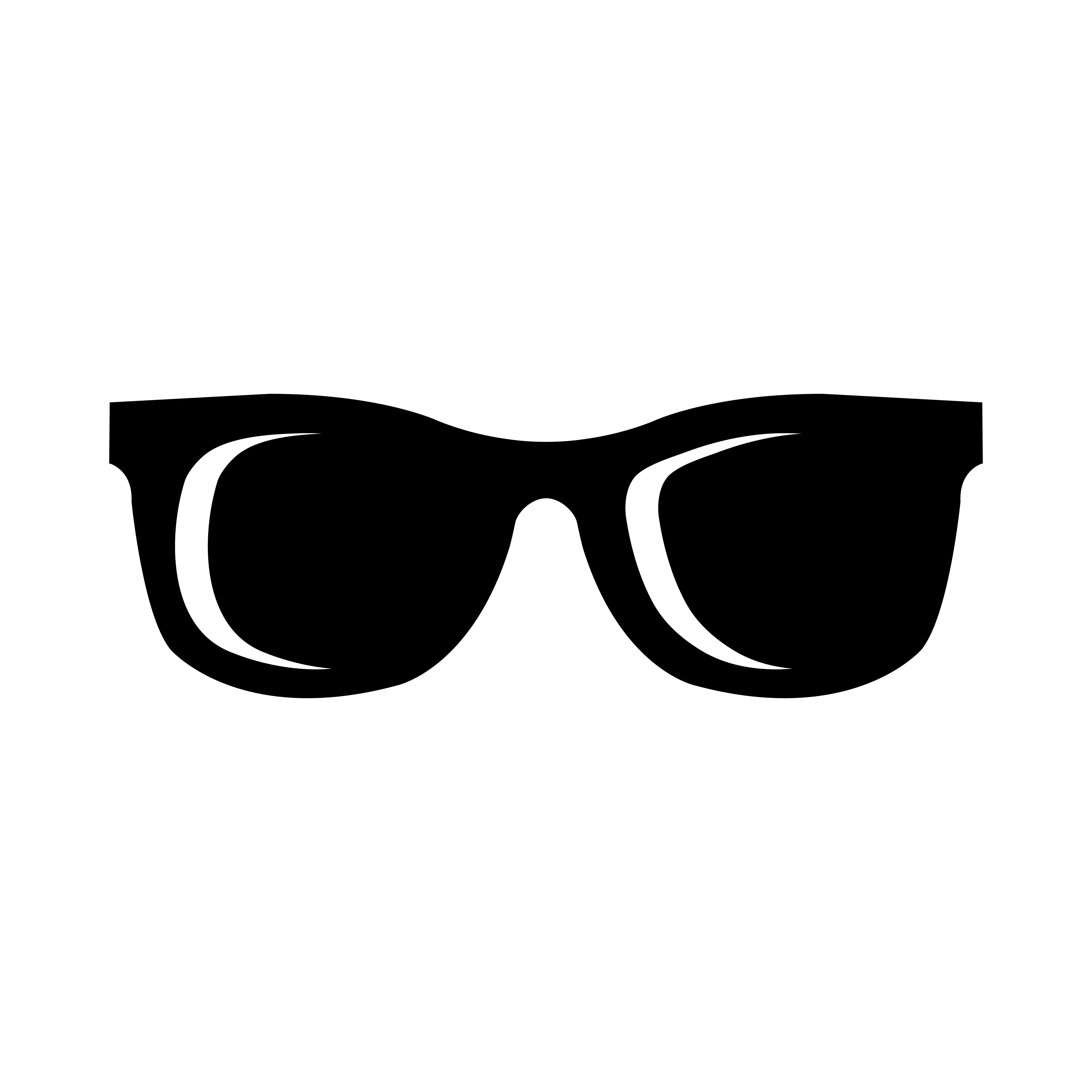 2026 Sunglasses #12