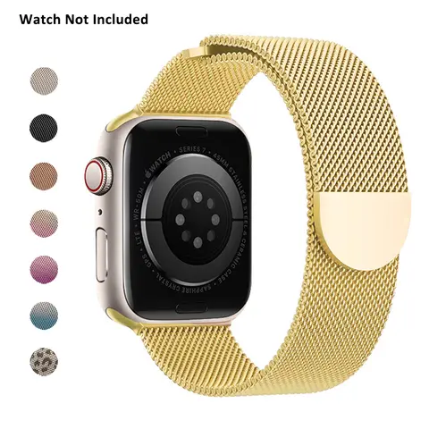 Magnetic Mesh Stainless Steel Watch Band, Metal Mesh Strap for iWatch Series 12 11 10 9 8 7 6 5 4 3 2 1 SE Ultra, for Men Women