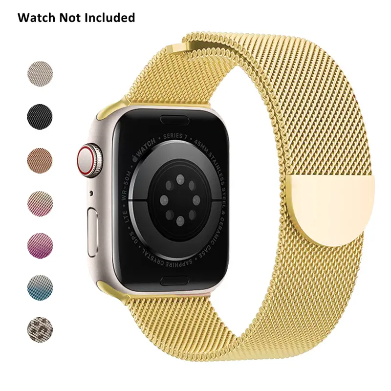 Magnetic Mesh Stainless Steel Watch Band, Metal Mesh Strap for iWatch Series 12 11 10 9 8 7 6 5 4 3 2 1 SE Ultra, for Men Women