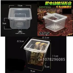 Transparent Plastic Reptile Feeding Box for Insect Breeding & Larvae 6.5x6.5x4.5cm Durable Ventilated Container