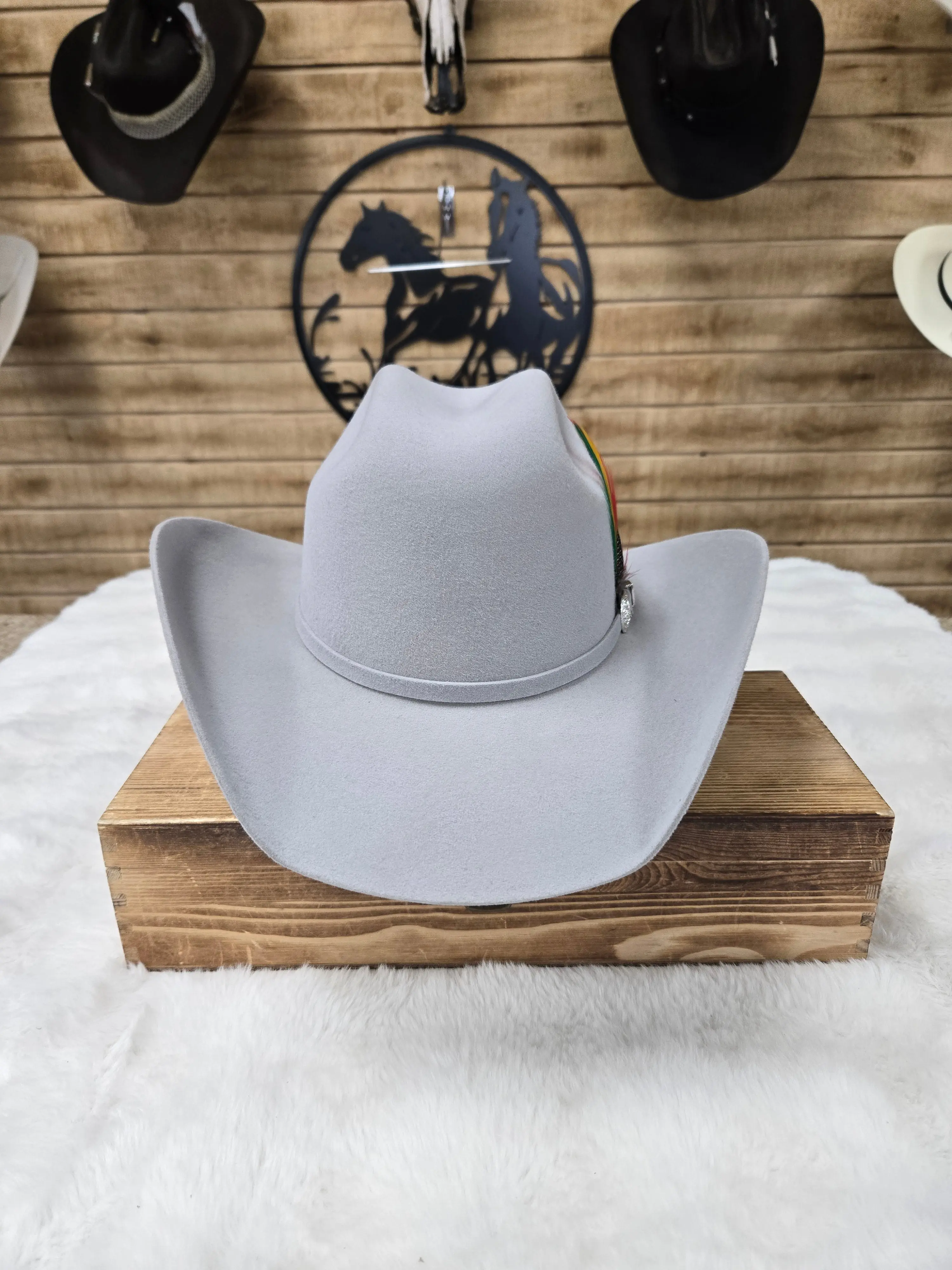 Potrero 30x Parrandero Texana Wool Felt Hat - Grey,Black,Chocolate,Beige