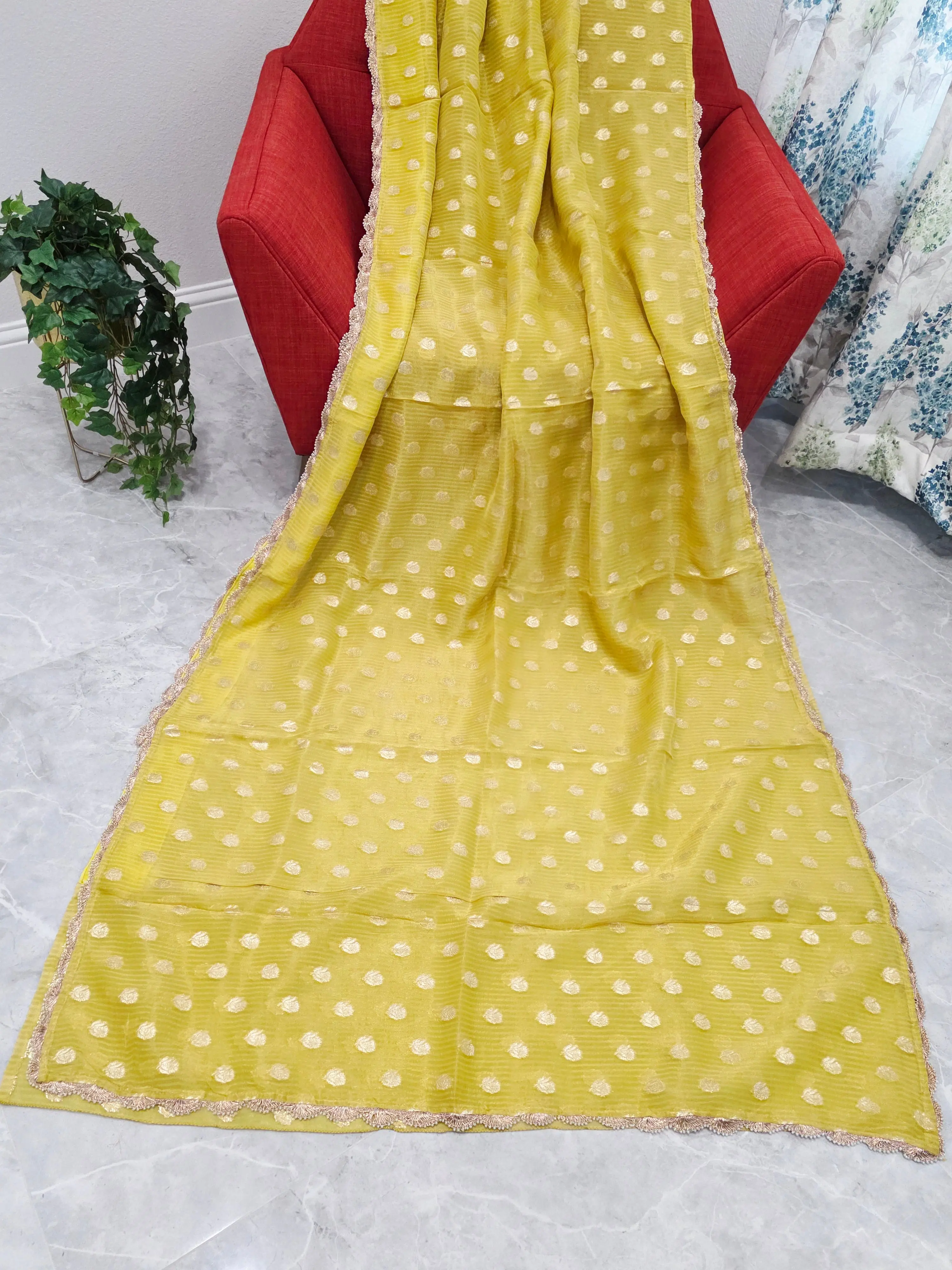 Borderless Olive Yellow Green Khaddi Organza Saree with All-Over Butta & Scalloped Pearl Lace