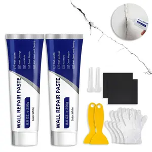 Wall patching compound, wall repair paste, waterproofing, anti-mildew, anti-humidity, white wall crack repair and hole filling putty, wall coating paint