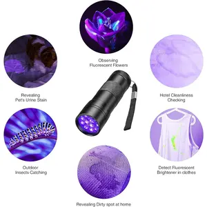 2 Pack - 12 LED Handheld Black Light, Black Light UV Flashlight,  Small UV Lights 395nm, Portable Pet Stain Detector for Dog Urine Scorpions Bed Bugs.