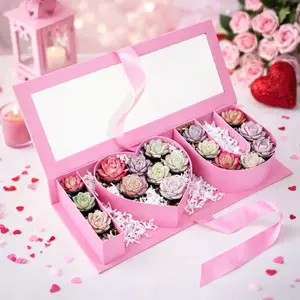 I Love You Gift Box with Rosette Succulents in Pink Heart Shape for Valentine's Day