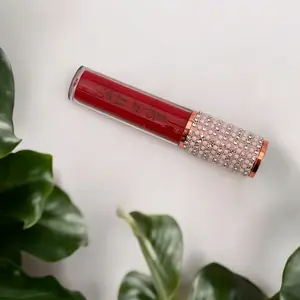 Blush me  Matte Gloss in Hot Red - Matte Finish Makeup