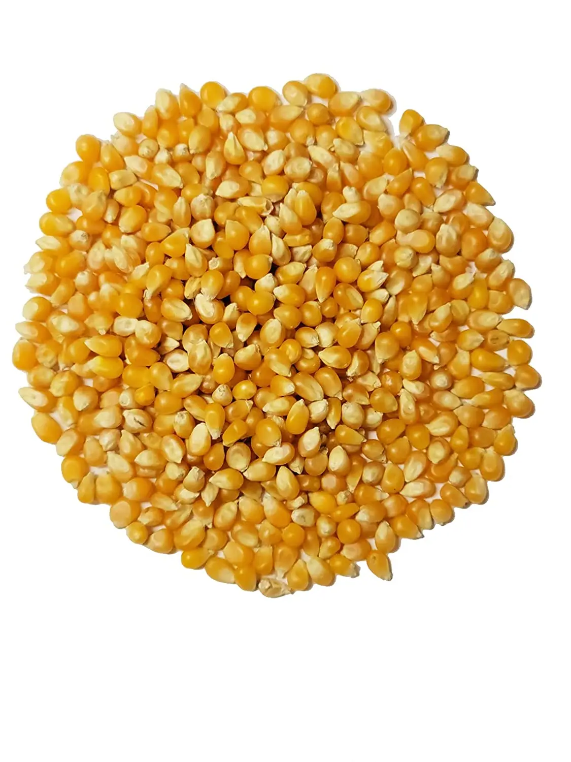 Baltoro Foods Certified Organic Raw Popcorn Kernels - Vegan, High Fiber, Non-GMO, Gluten-Free, Natural Bulk Raw Snack, Freshly Packed in Reclosable Sealed Zippered Bag