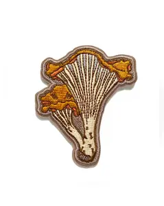 Chanterelle Mushroom Patch