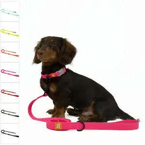 Petjoot AllWeather Waterproof Dog Leash Detachable Lead with 360° Rotating Swivel Clasp & Honeycomb-like Material for Maximum Comfort front hook harness christmas dog