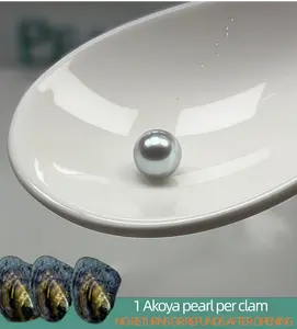 【Will】Round Akoya 6-7.5mm (1 Akoya pearl per shell) ｜Live Opening Non-Refundable NO RETURNS OR REFUNDS AFTER