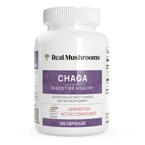Organic Chaga Extract Capsules 120 or 300 Count 1000 mg per Serving USDA Certified Gluten Free Non GMO Vegan Digestive Health Supplement